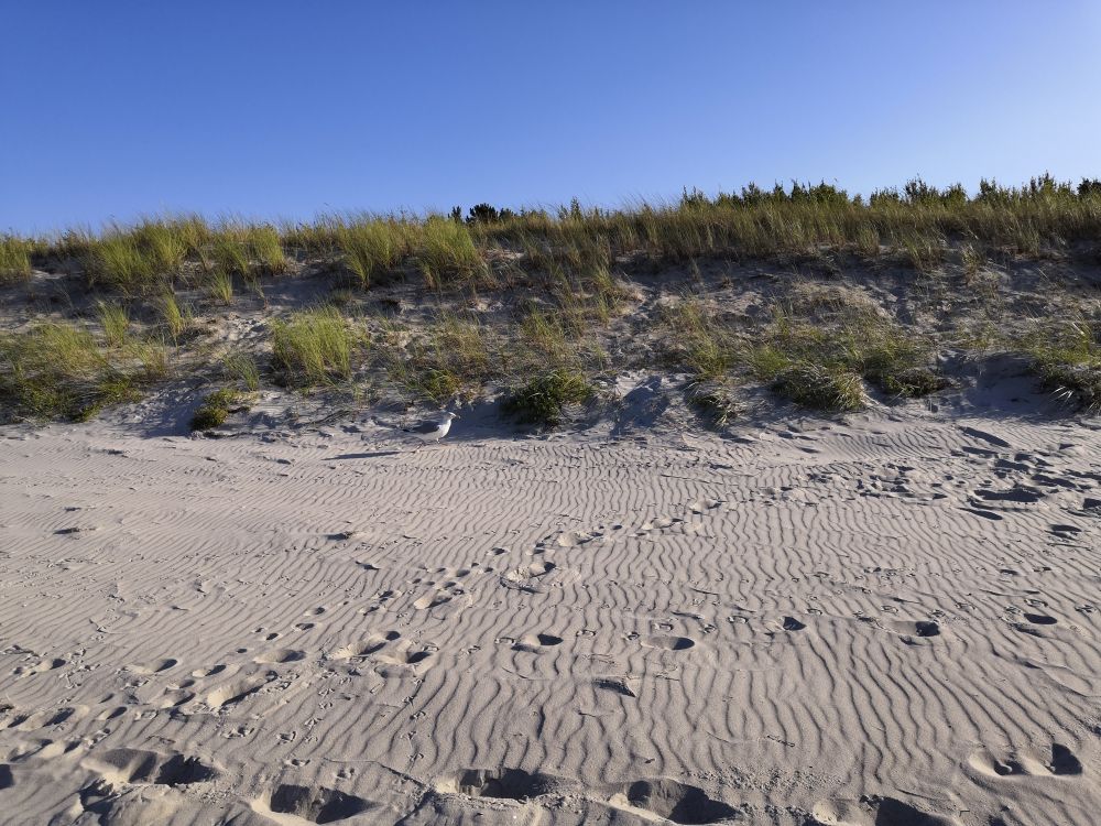 Kinderfreizeit auf Spiekeroog -