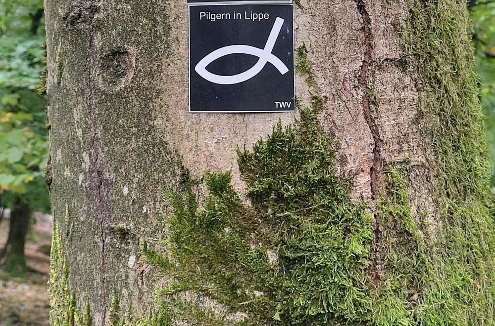 Rund um Dörentrup